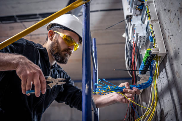 Best Electrical System Inspection  in Dexter, GA
